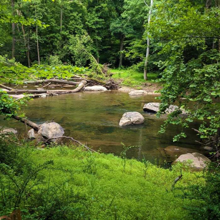 View of the north fork of the Patasco from the Mckeldin View trail. Near Switchback Trail