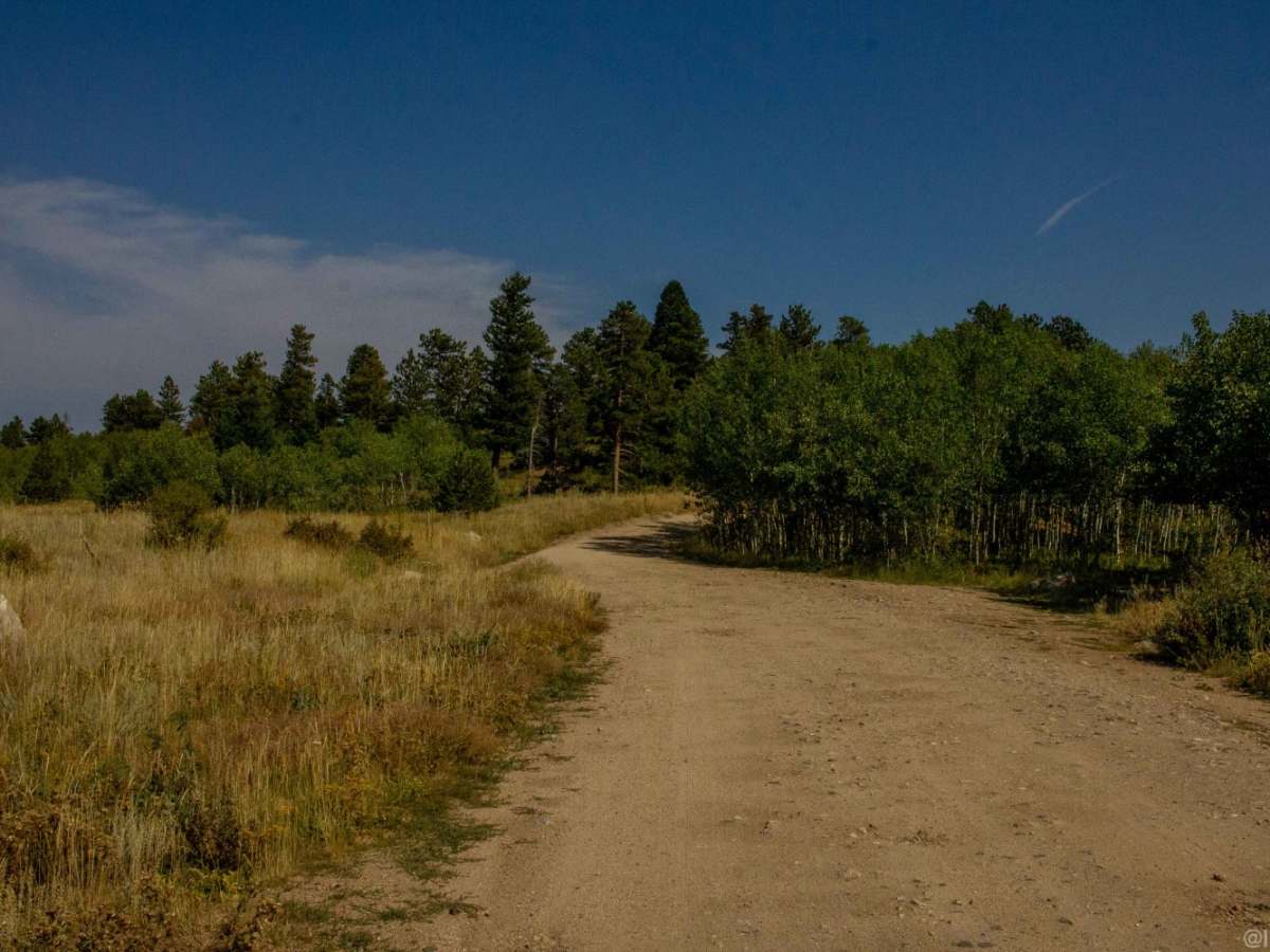 Peewink photo 5