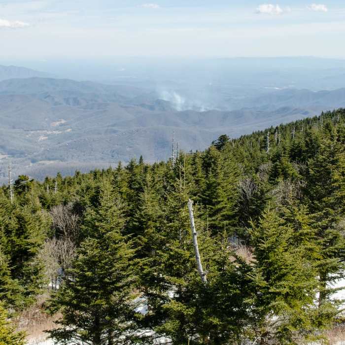 Near Mount Mitchell via Black Mountain Campground Near Mount Mitchell via Black Mountain Campground