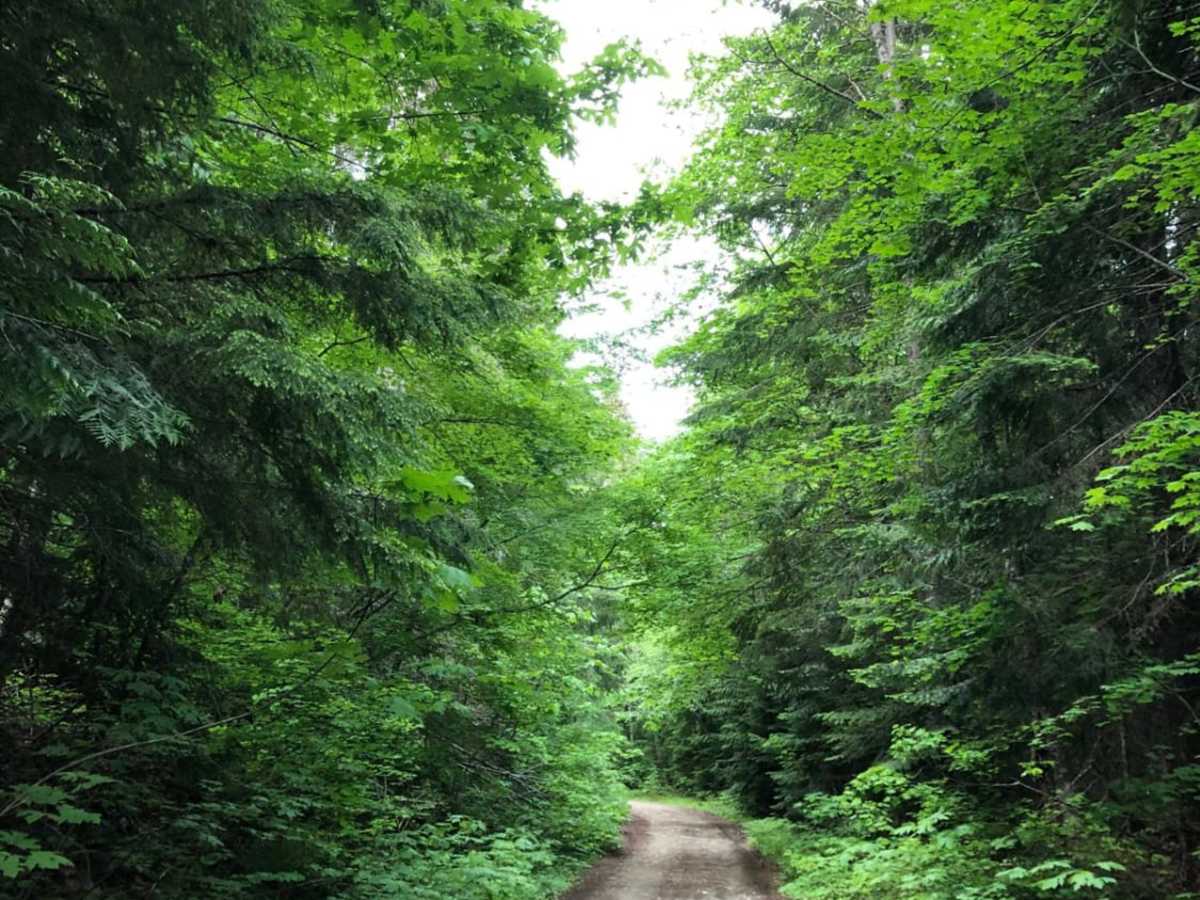 East Kachess Road 4818 photo 5