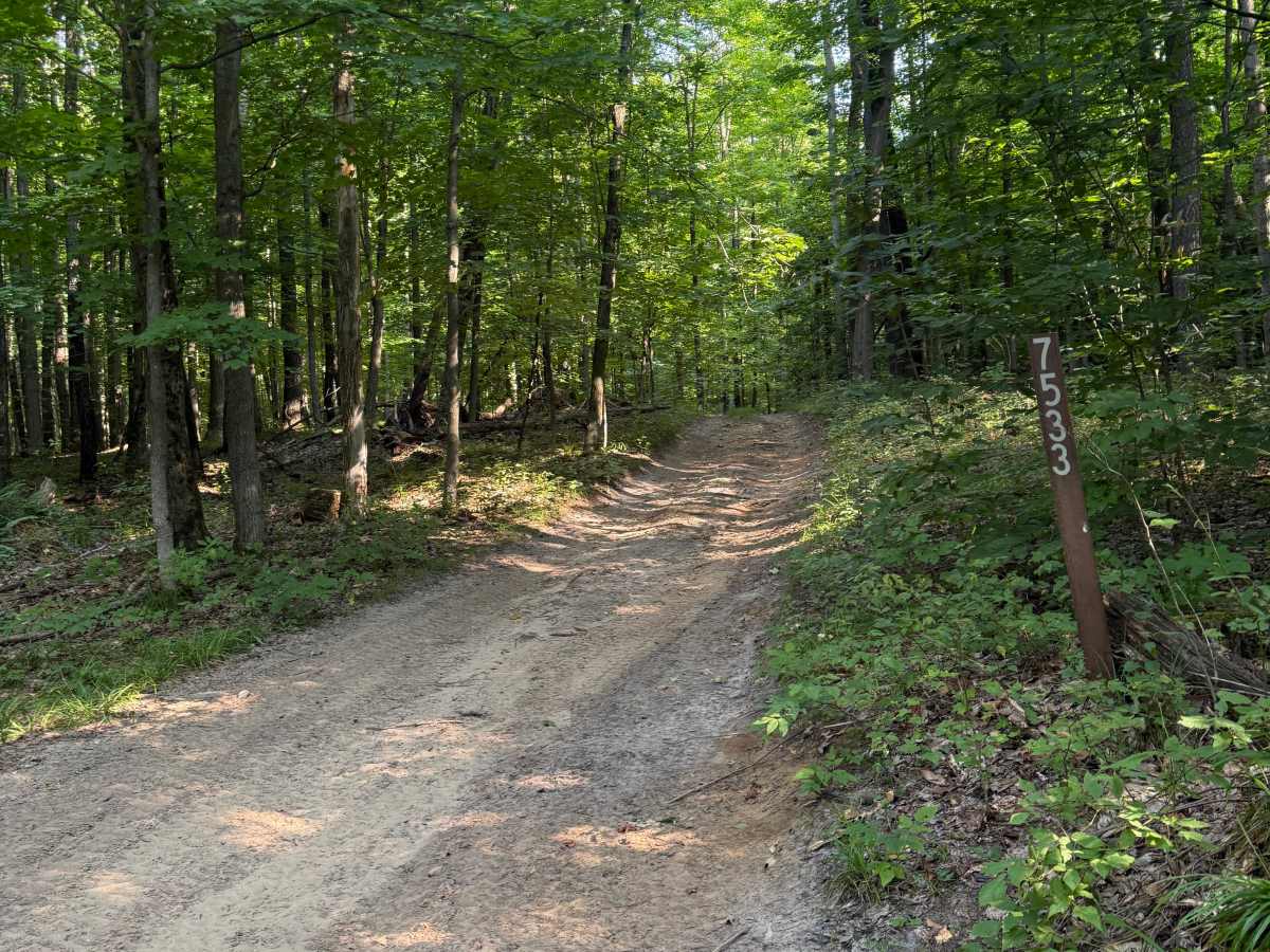 FS 7533 trail photo