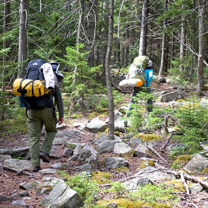 Raven Ridge Trail Near Dolly Sods Challenge Hike - circumnavigation