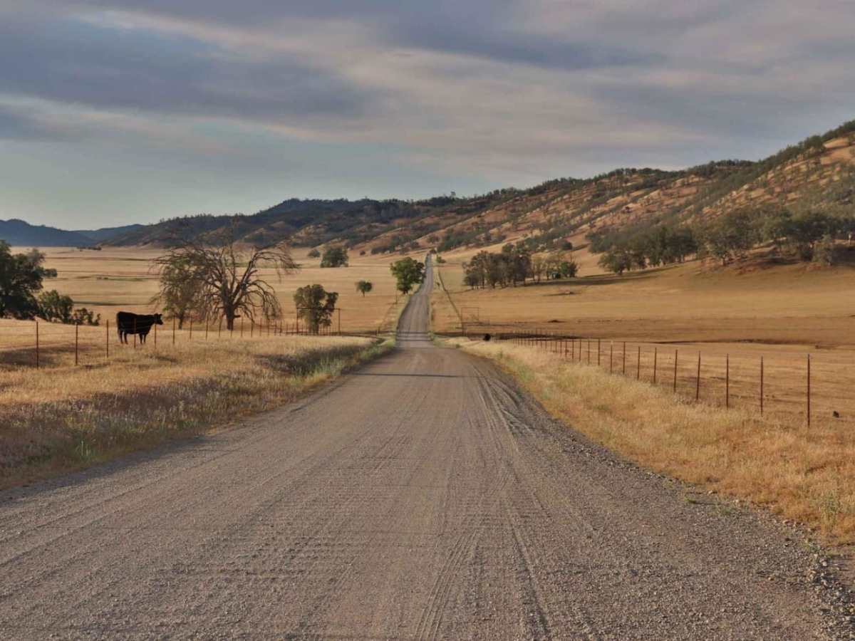 Bear Valley Road Trail photo 4