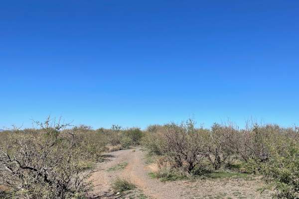 Interstate 17 Overlook 