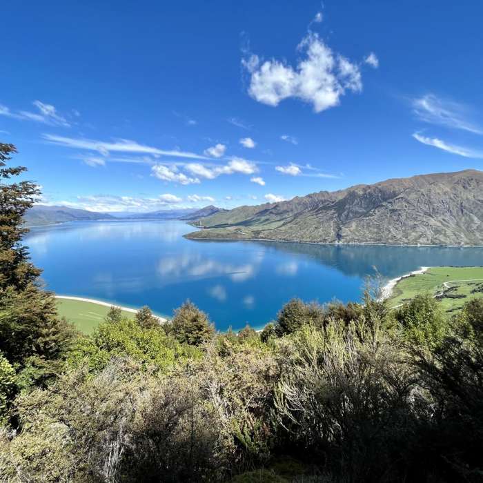 Near Sawyer Burn Track Near Sawyer Burn Track