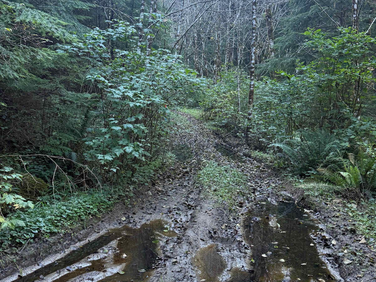 FRF 1100 trail photo