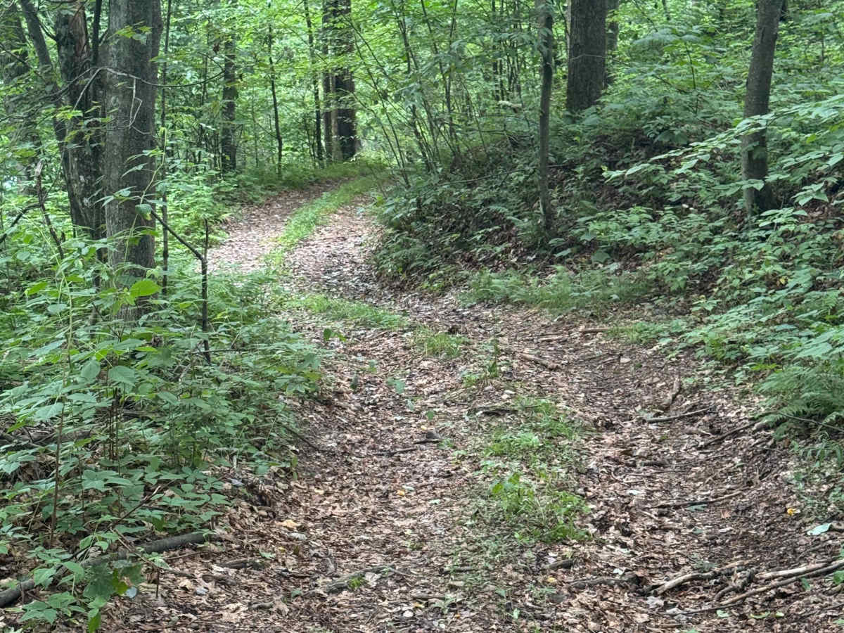 Trail 77 photo 2