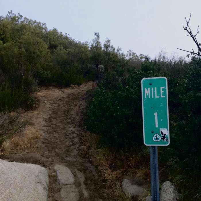 Near Pacific Crest Trail: California Section A