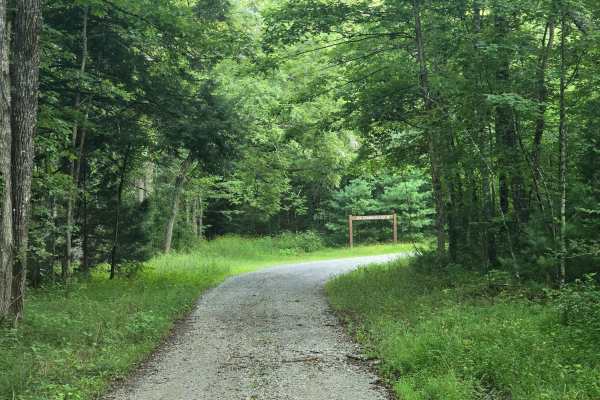 Joe Branch Road