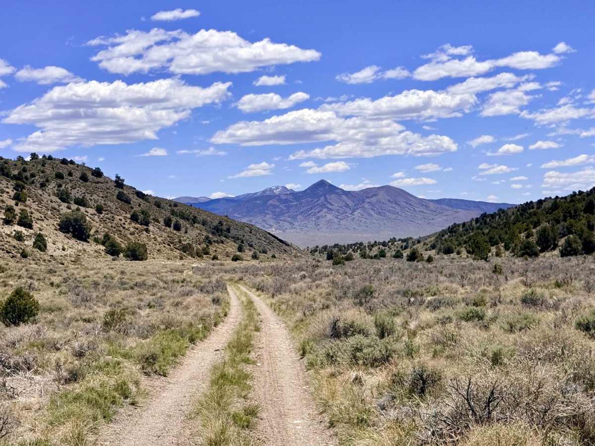 Historical Stage Route -  FS 44214 trail photo