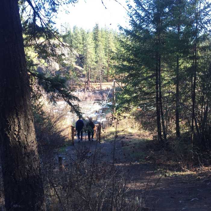 Near Trail 100