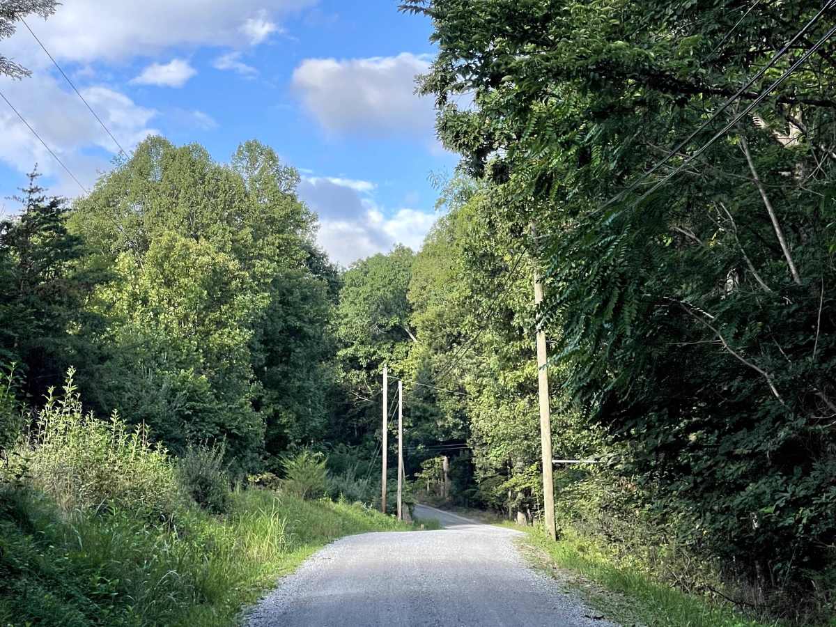 Mount Moriah Road  photo 4