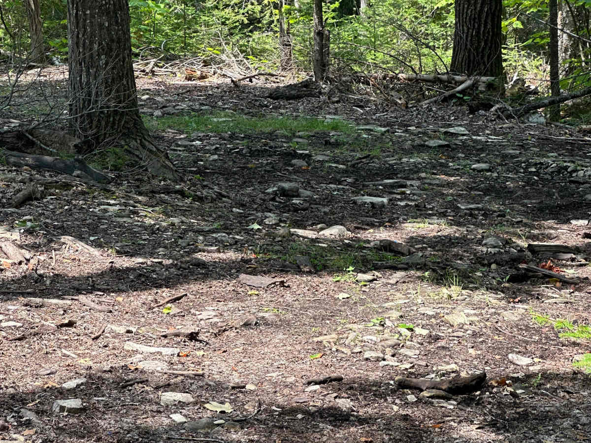 Lower Ledge  trail photo