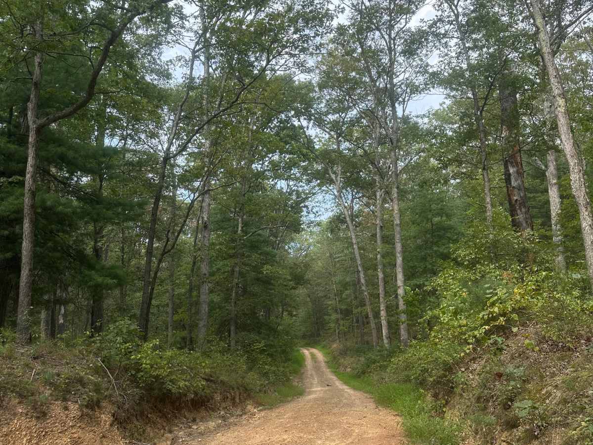 Kasecamp Loop photo 5
