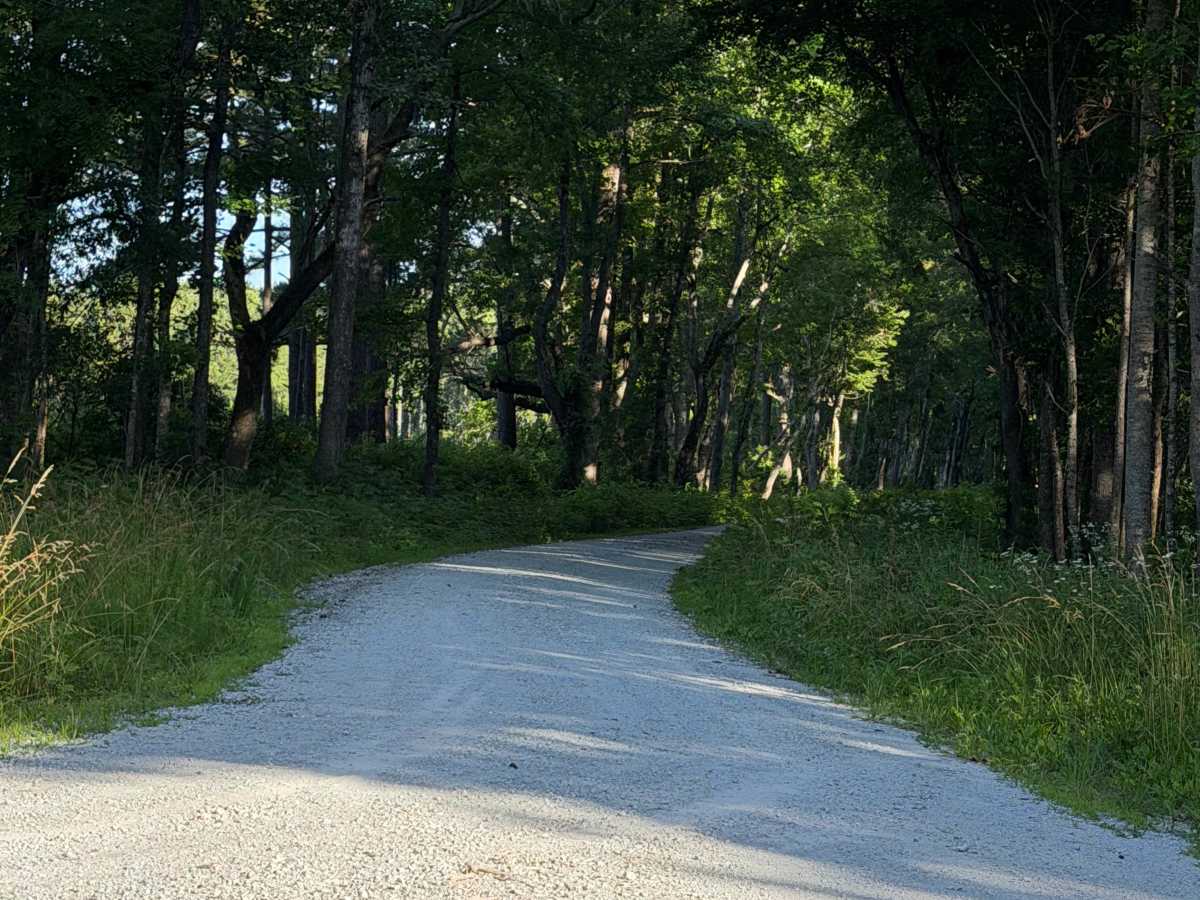 Haywood Landing - FS 146 trail photo