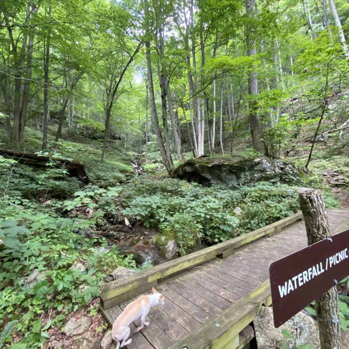 Bridge to the picnic area. Near Bald Mountain Creek Preserve Outer Loop
