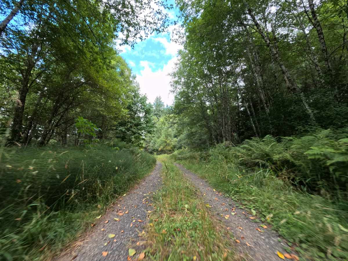 W-544 trail photo