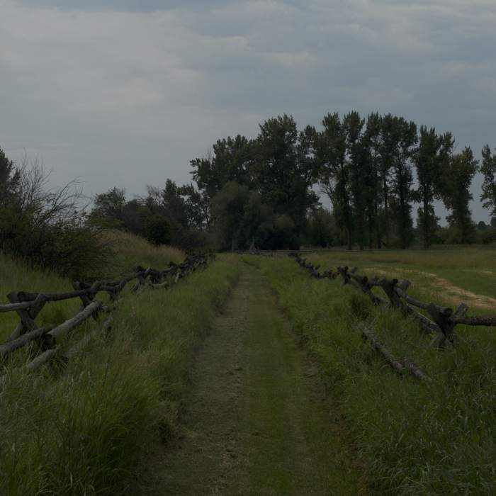 Near Grant-Kohrs Ranch Nature Trail