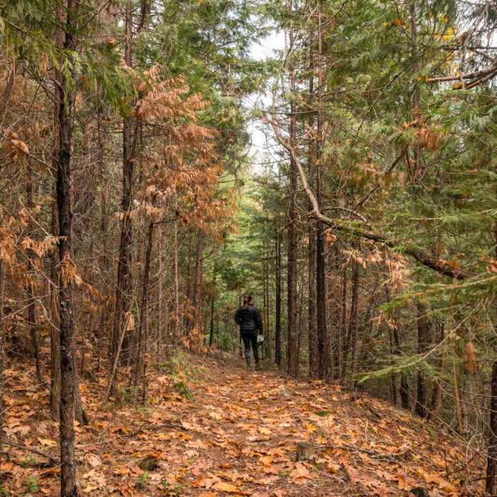 Near Faery Falls in Ney Spring Canyon