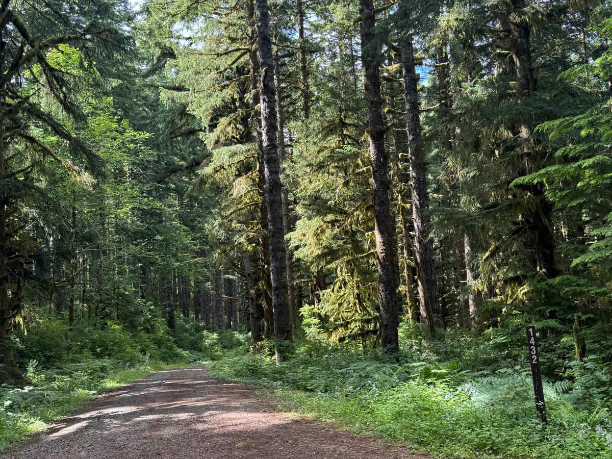 Cedar Lake - FS 1432 trail photo