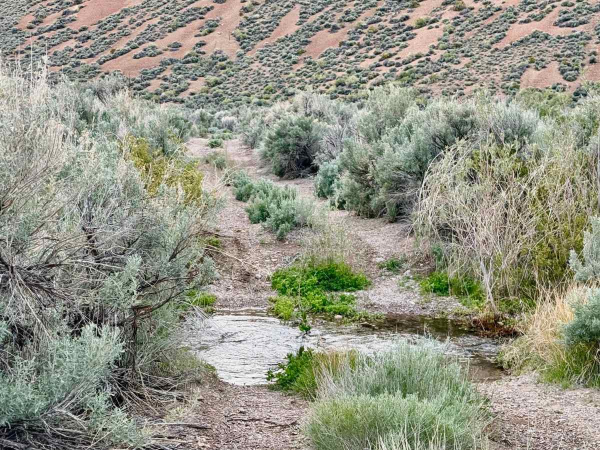 Barrel Spring Dry Canyon - FS 44451 photo 2