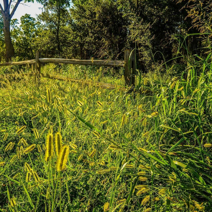 Near Crow Hill Trail