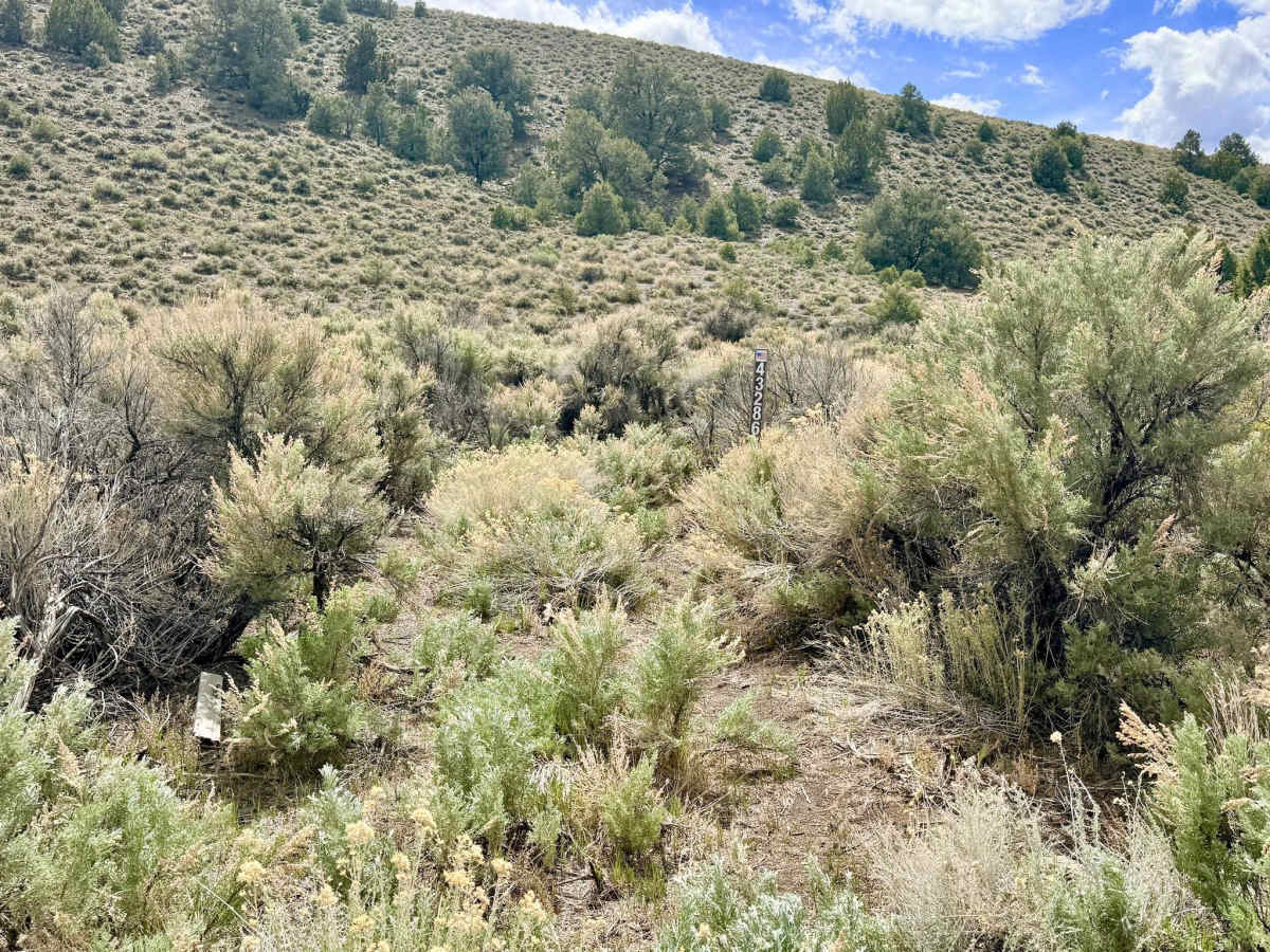 Clipper Gap Canyon - FS 43286 photo 4