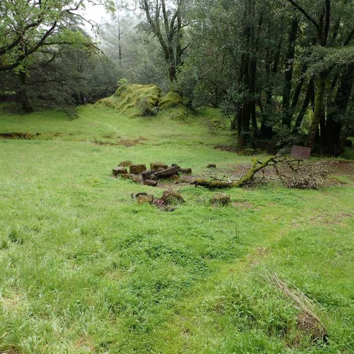 Near Upper Oat Hill Mine Trail