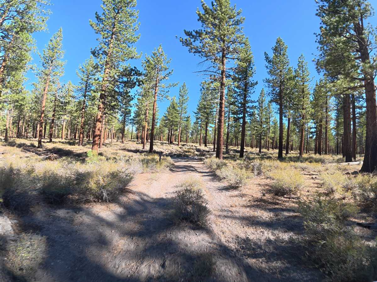 FS 27E109 trail photo