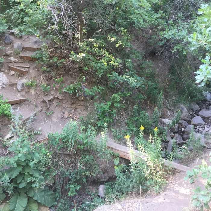 Near Hornet Canyon Loop