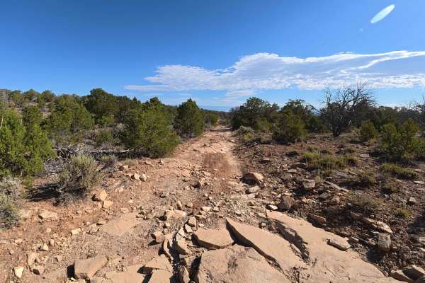 Roatcap Gulch Road