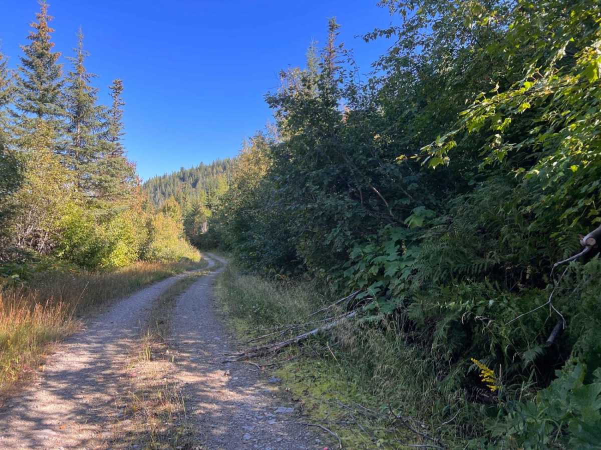 Huckleberry Mountain photo 6