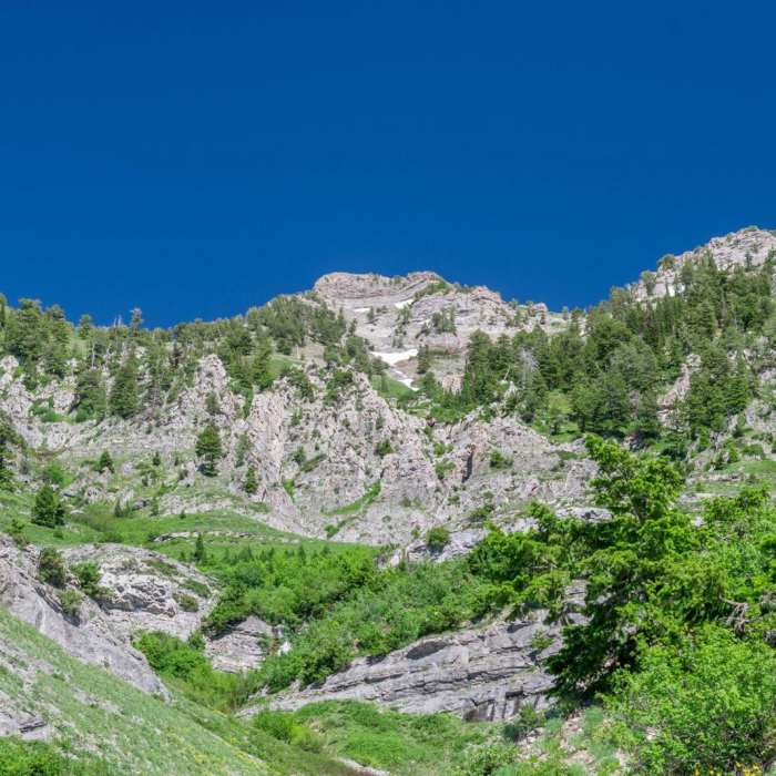 Near Cherry Creek Canyon