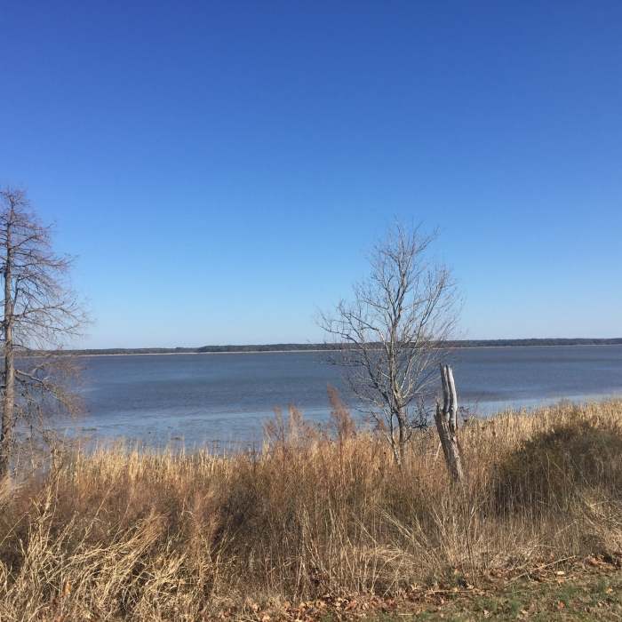 Near Mattaponi Trail