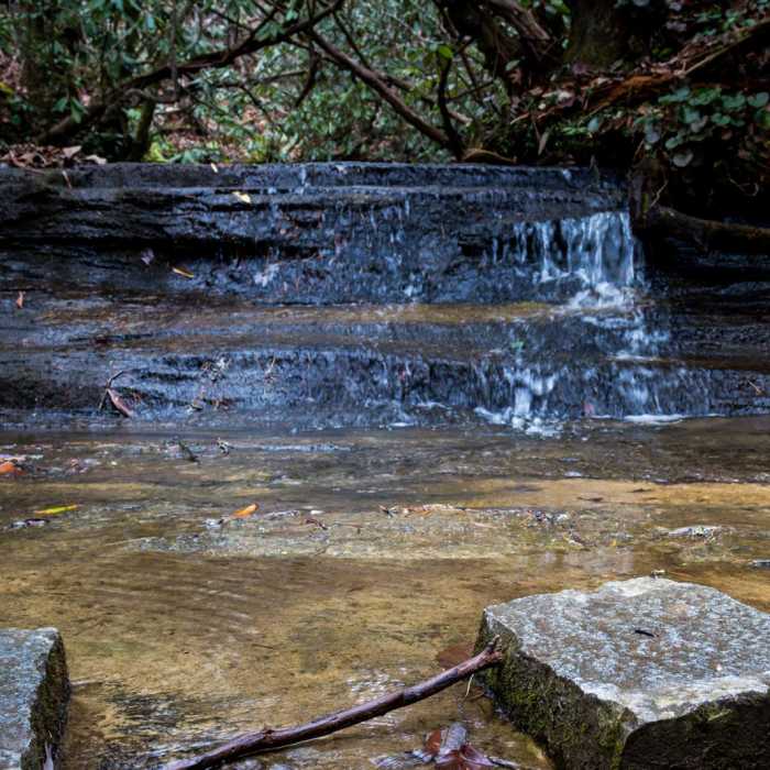 Near Yellow Branch Falls