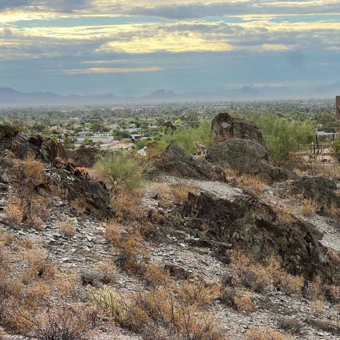 Near Shadow Mountain Circumference Trail