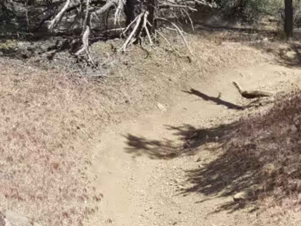 Whata OHV - FS 20W25 trail photo