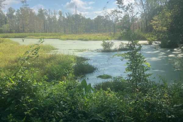 Fury's Ferry Boat Ramp