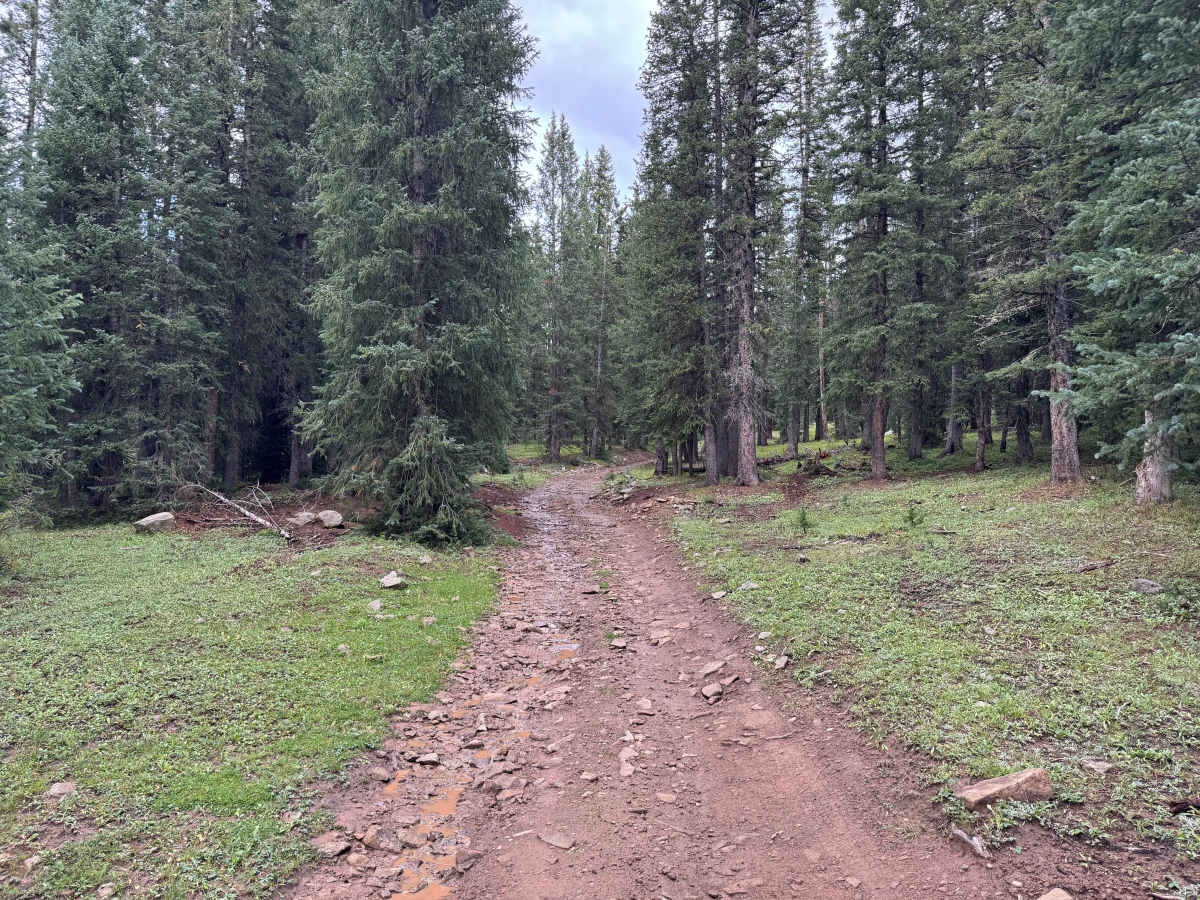 Dillons Cabin B Road photo 2