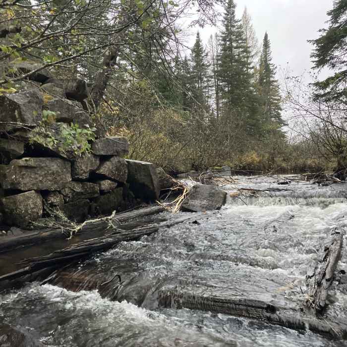 Near Bog Pond Trail