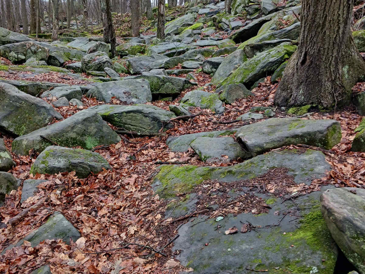 OHV 43 - Rock Run Recreation Area photo 3