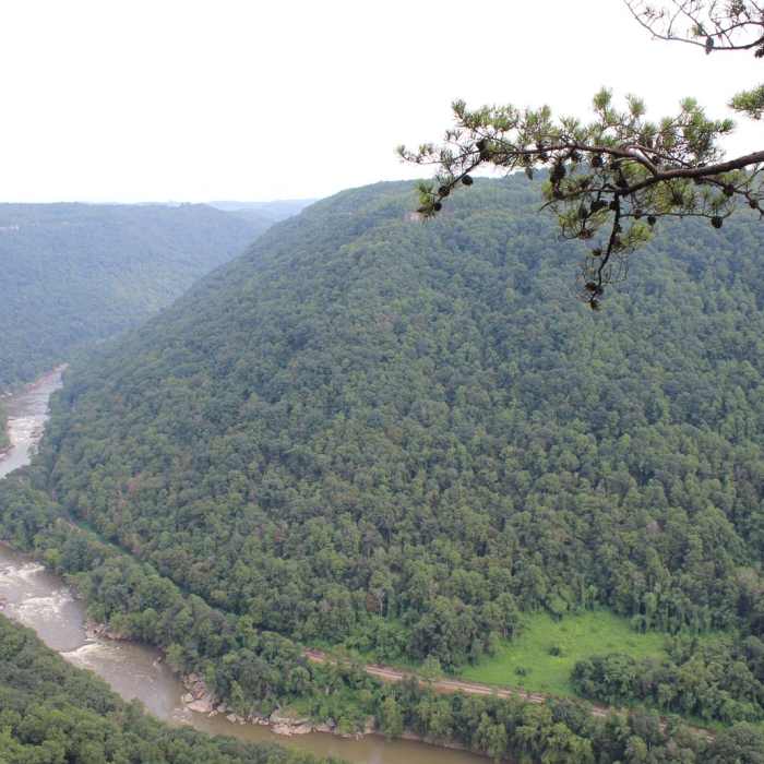 Near Endless Wall Trail