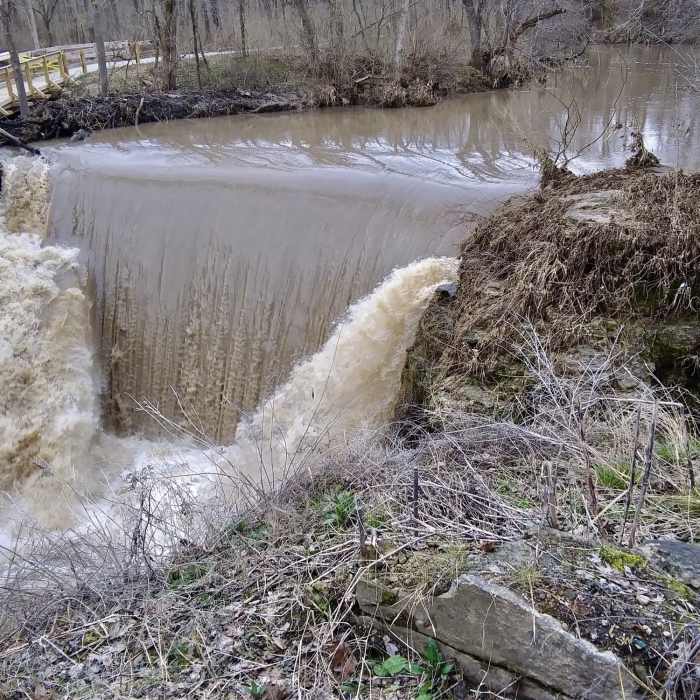Near Cedar Falls Overlook Trail