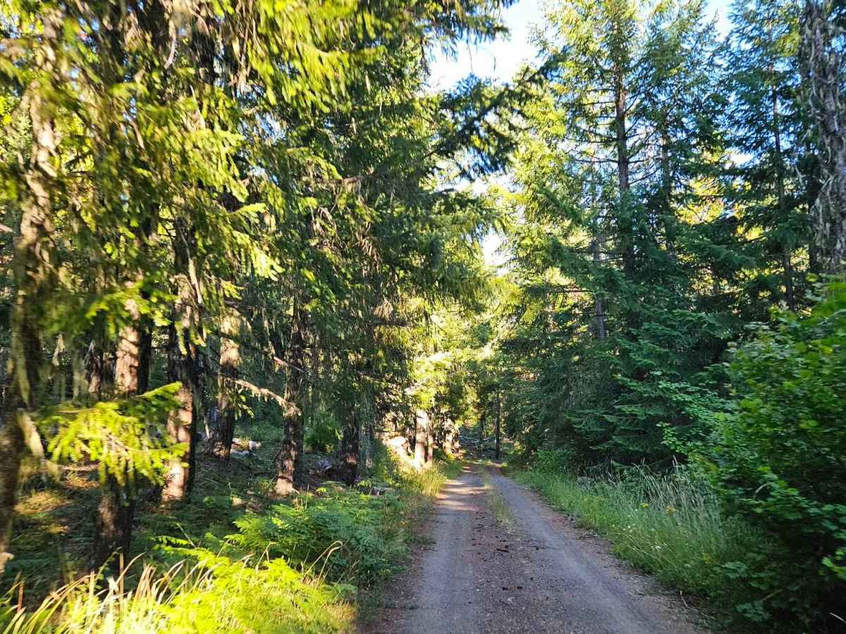3200600  trail photo