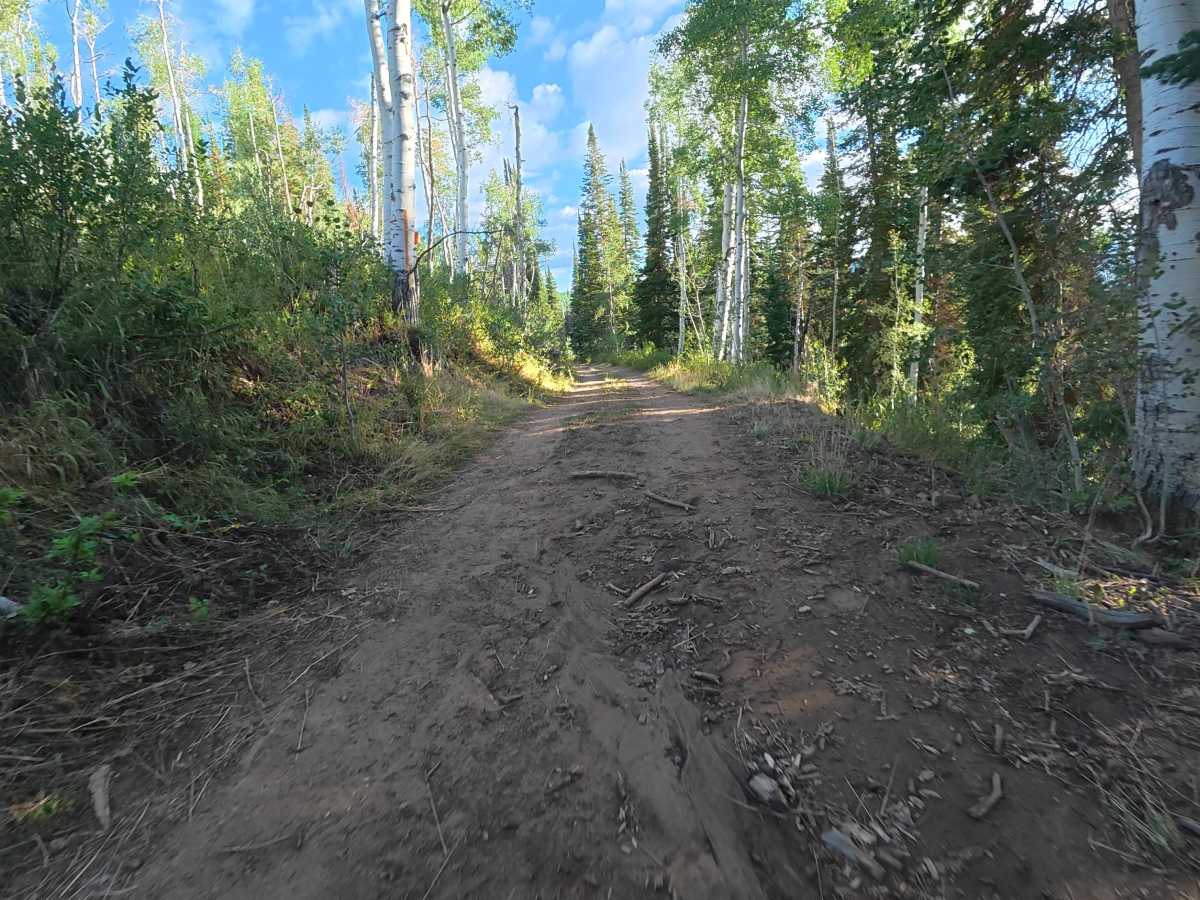 Ogden Place Road - FS 820 photo 6
