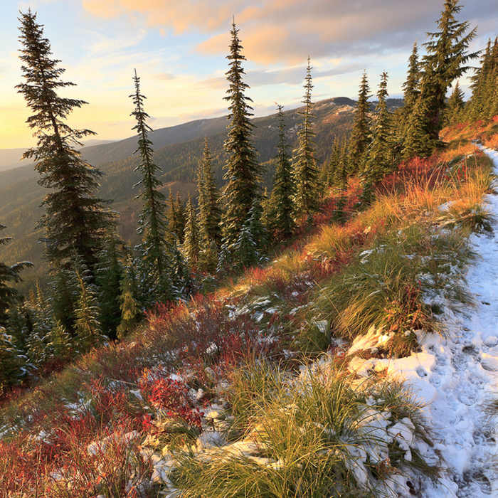 Near Grandmother and Grandfather Mountains