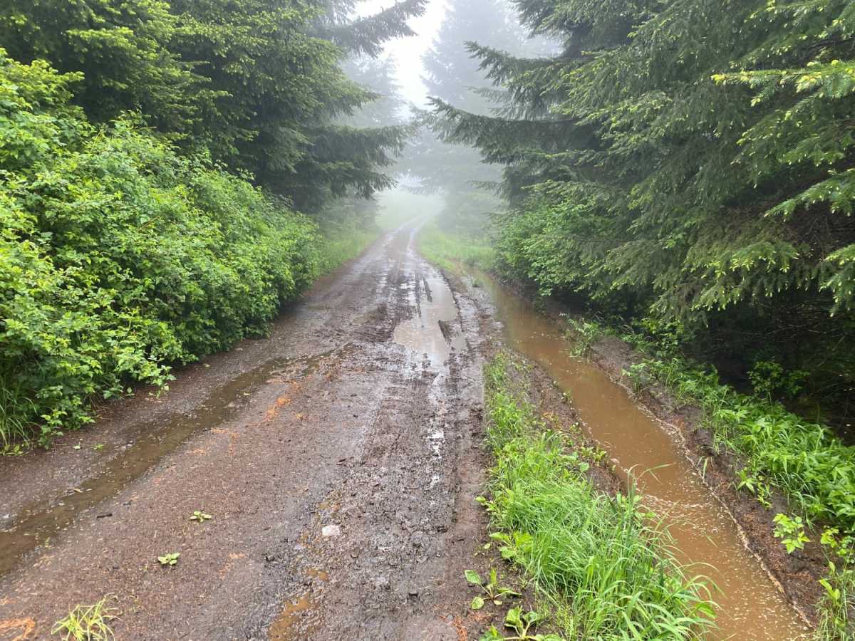 Prairie Peak trail photo