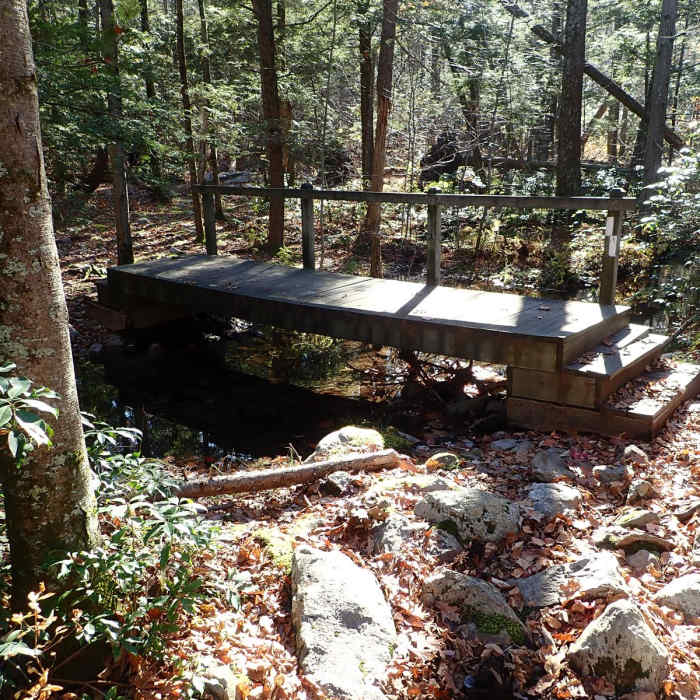 Near Appalachian Trail - Stokes S.F. South Near Appalachian Trail - Stokes S.F. South