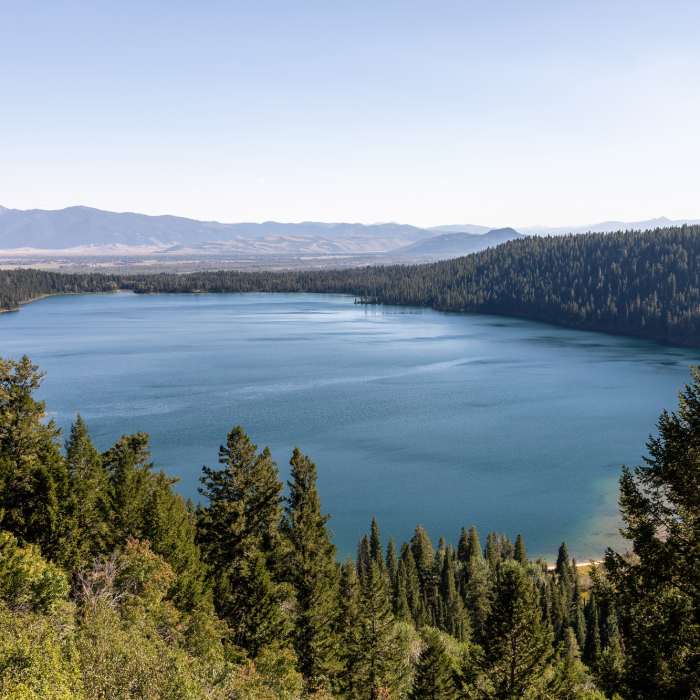 Phelps Lake Near Death Canyon Trail