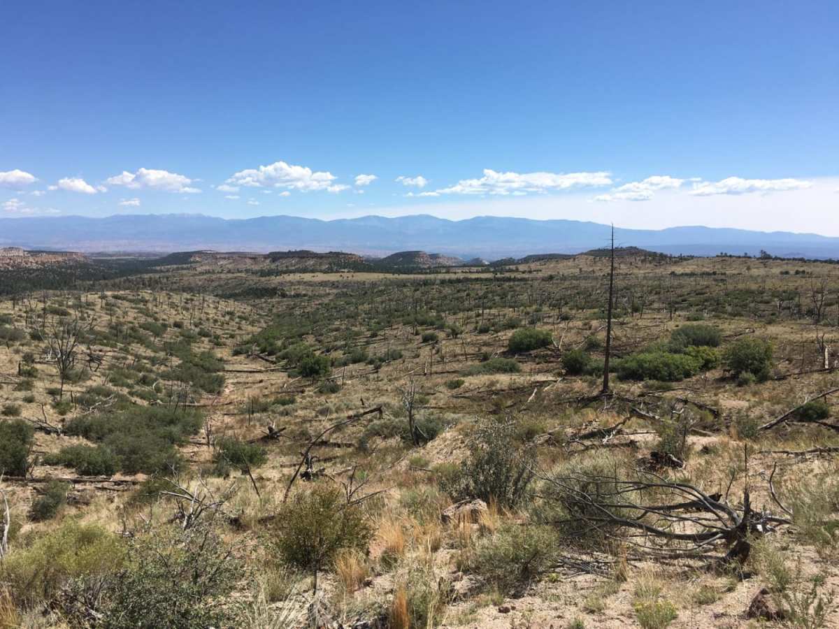 Chupaderos South Trail 822 aka Around the Mountain photo 5